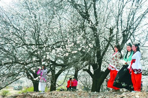 五星体育直播多屏互动